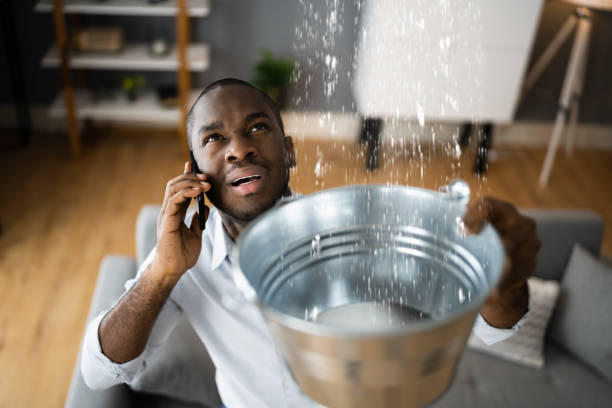 Best Carpet water damage restoration  in Tignall, GA