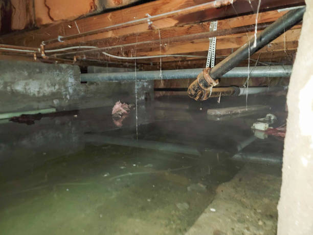 Water damage restoration mold remediation in Tignall, GA