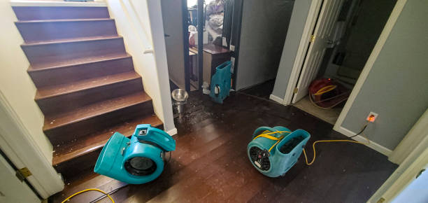 Best Flooded house restoration  in Tignall, GA