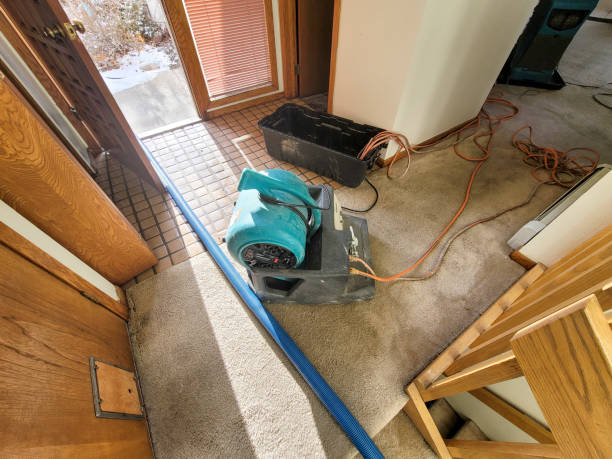  Tignall, GA Water damage restoration Pros