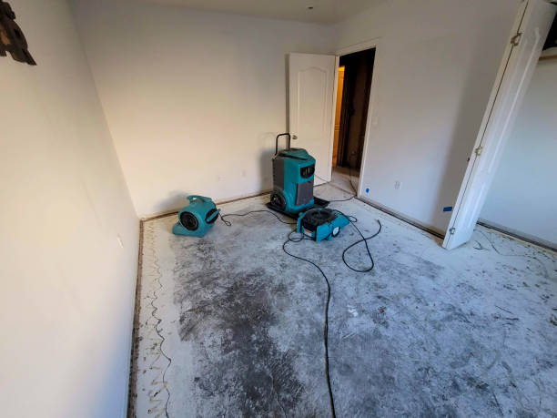 Best Water damage restoration specialists  in Tignall, GA