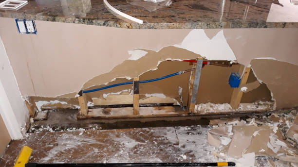 Best Residential water damage restoration  in Tignall, GA