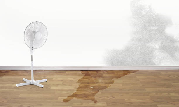 Best Residential water damage restoration  in Tignall, GA