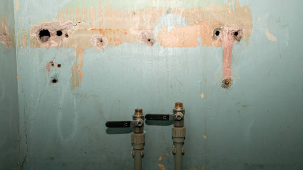 Best 24/7 water damage repair  in Tignall, GA