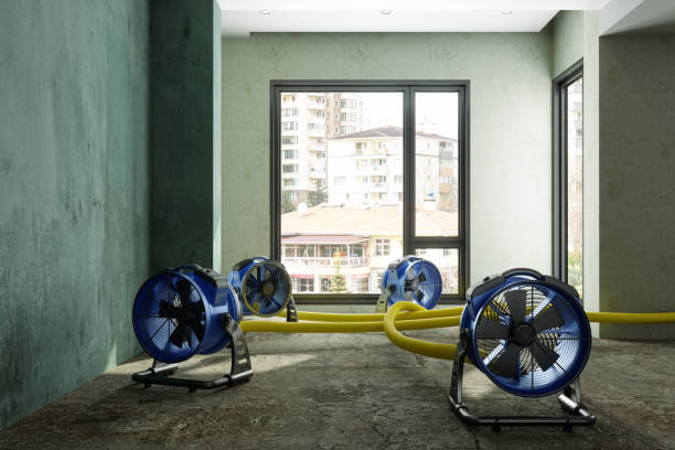 Best Local water damage restoration  in Tignall, GA