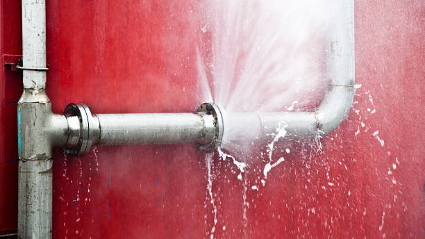 Best Water damage restoration near me  in Tignall, GA